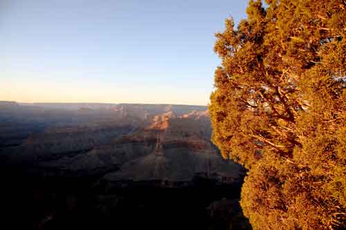 Vista del Grand Canyon (Foto: Emma S. Dedorson)